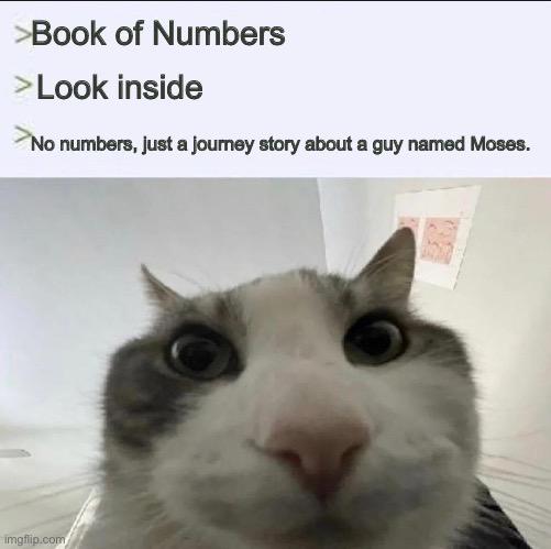 The Ultimate Mathematical Clickbait