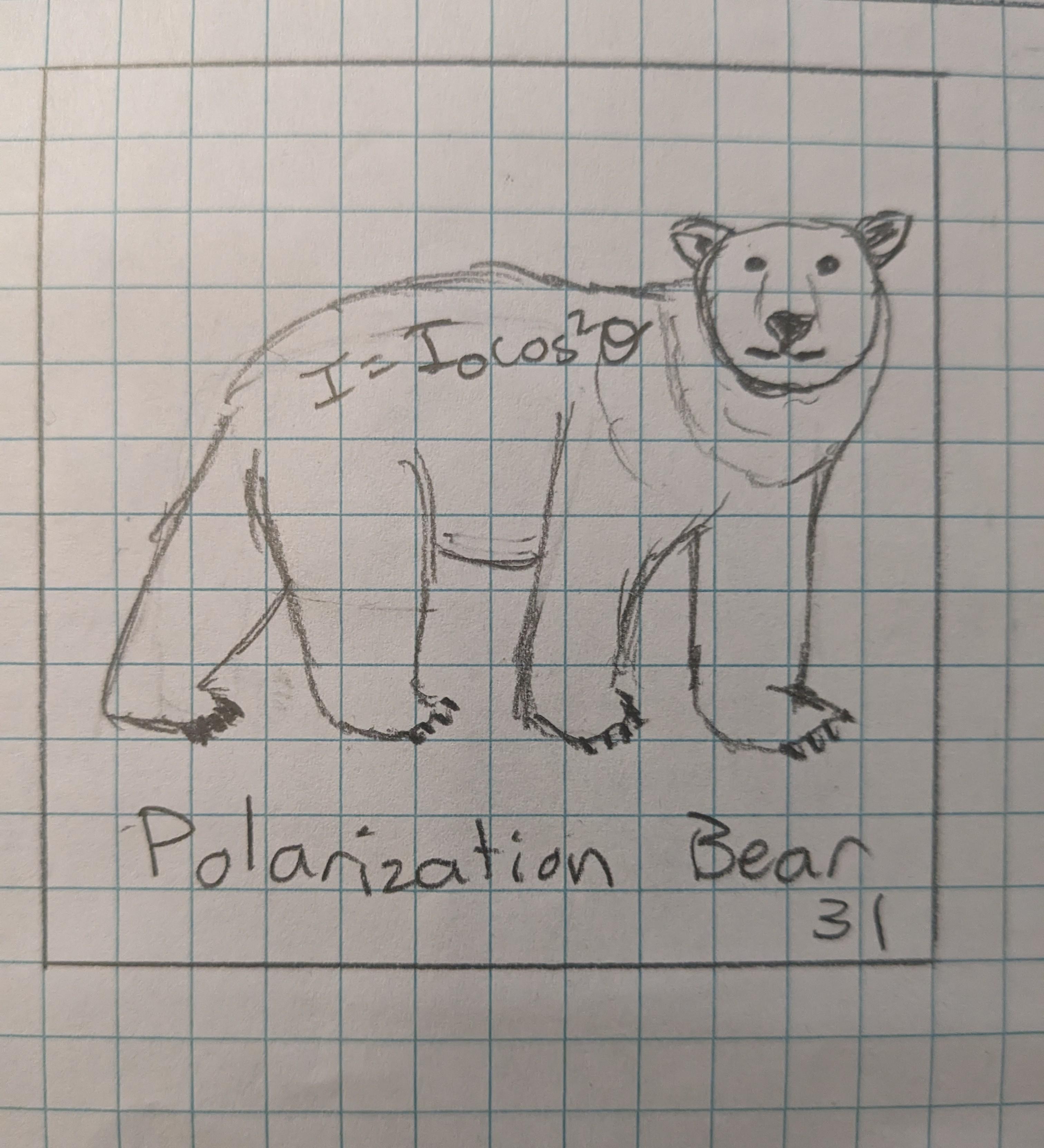The Polarization Bear