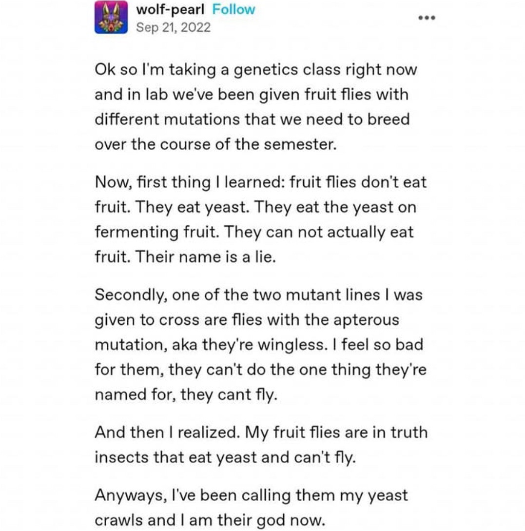 The Great Fruit Fly Identity Crisis