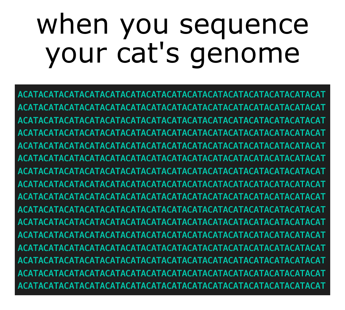 The Purrfect Genome Sequence