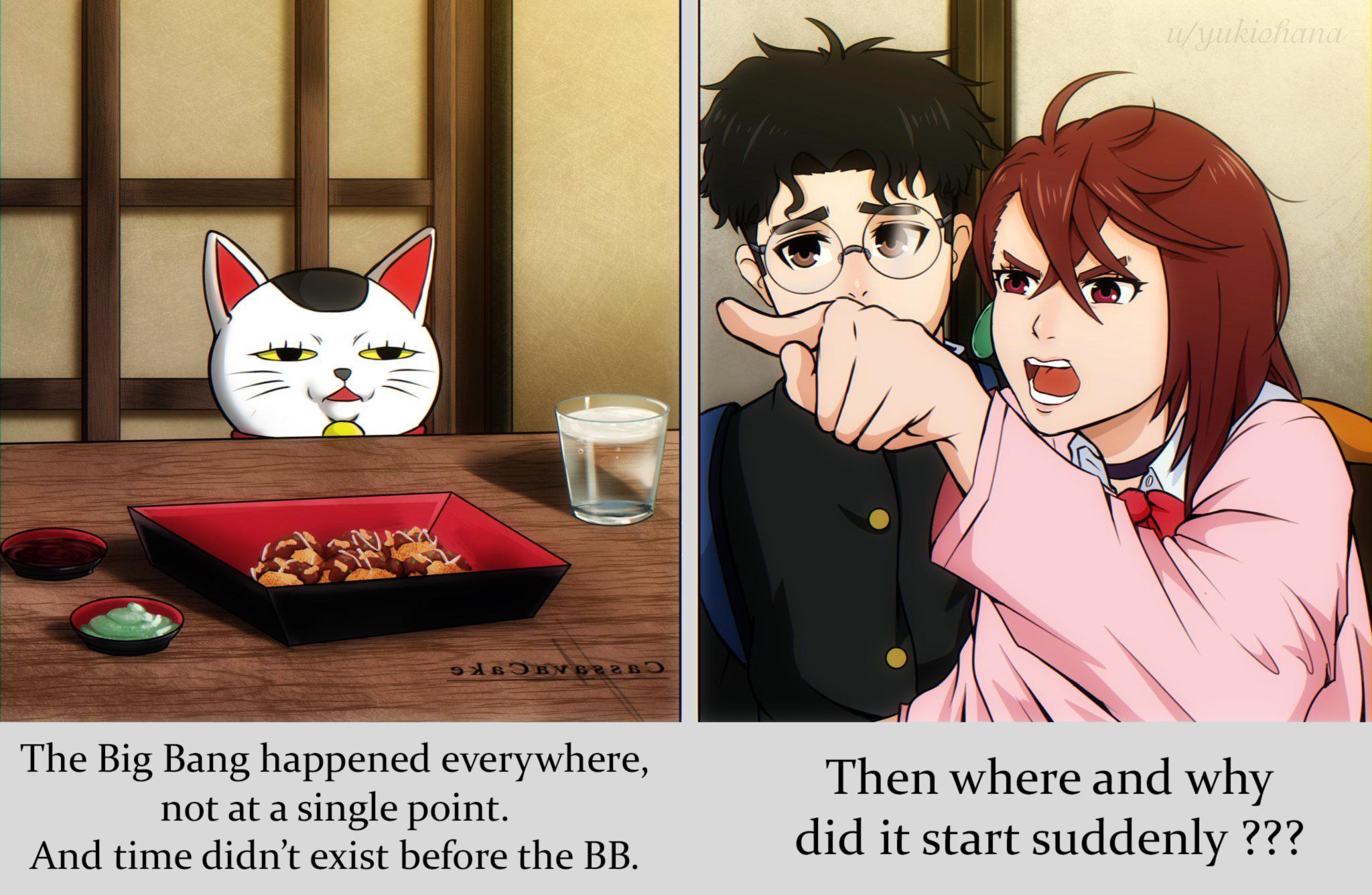 The Smug Cat's Cosmic Wisdom