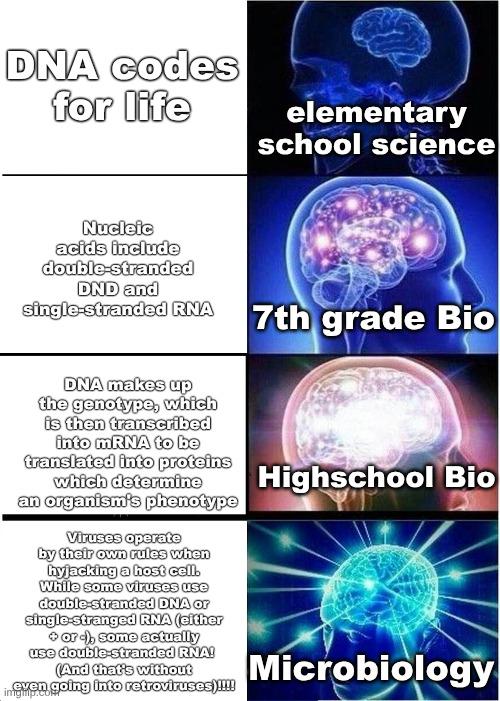 The Expanding Brain Of Science Education