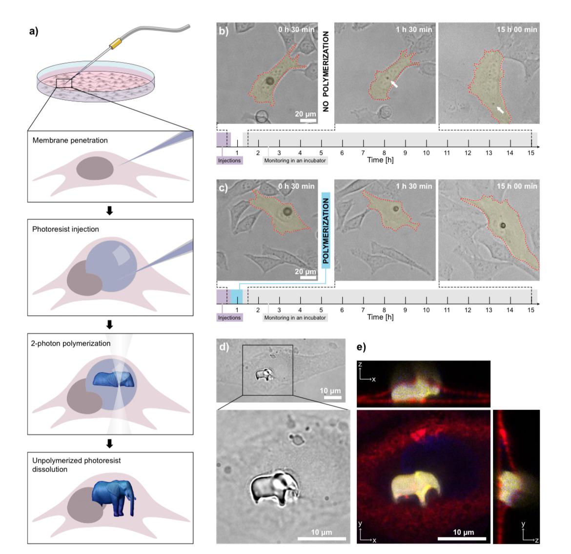 Scientists 3D Printed An Elephant Inside A Living Cell... Because They Could