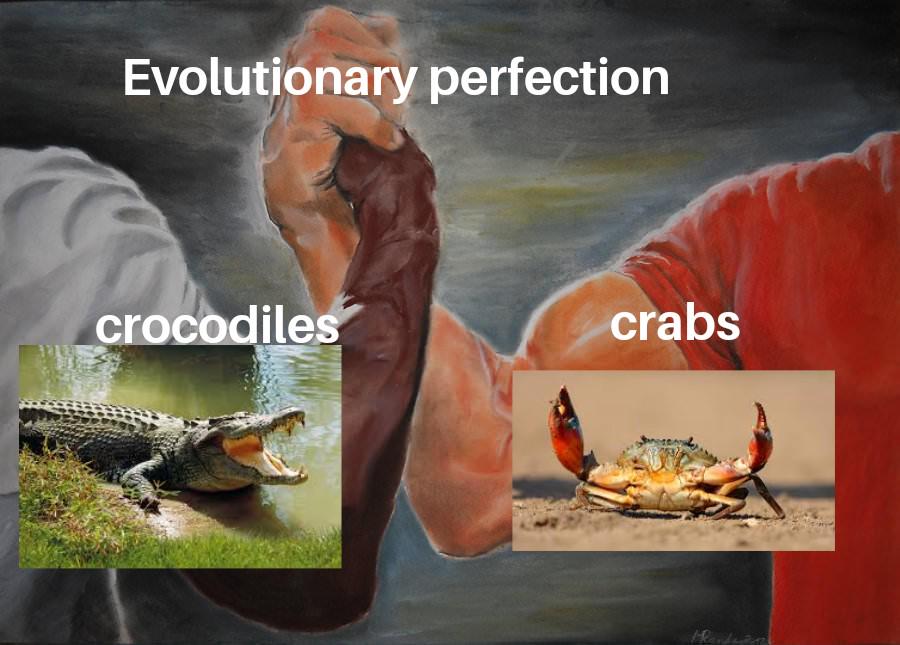 Evolutionary Perfection: Why Change What Works?
