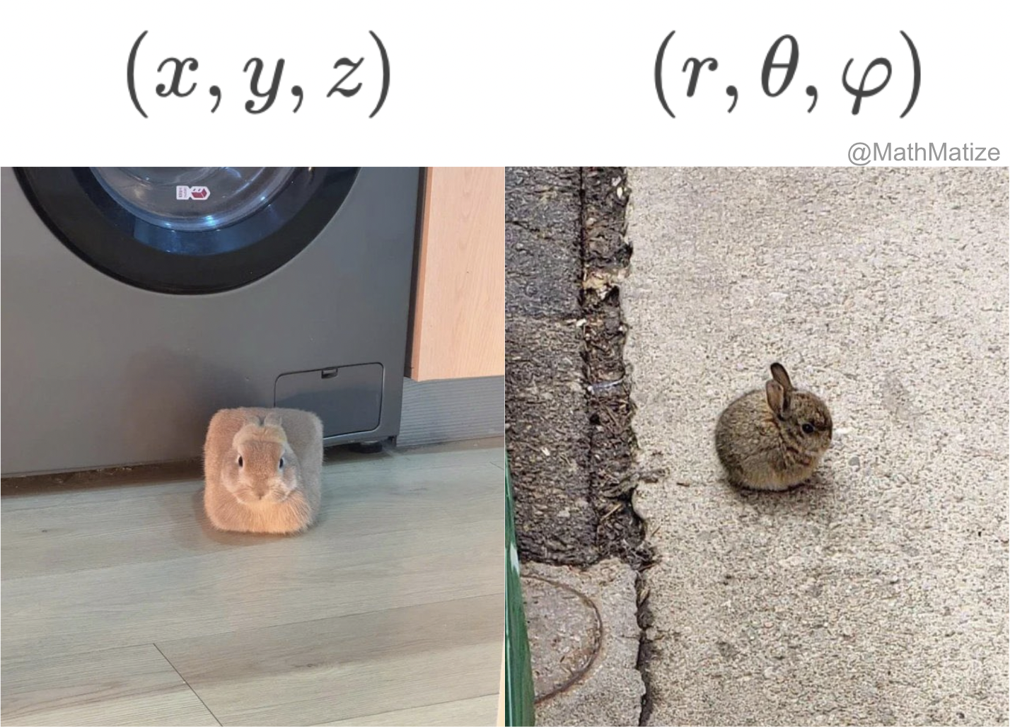Choose Your Coordinate System