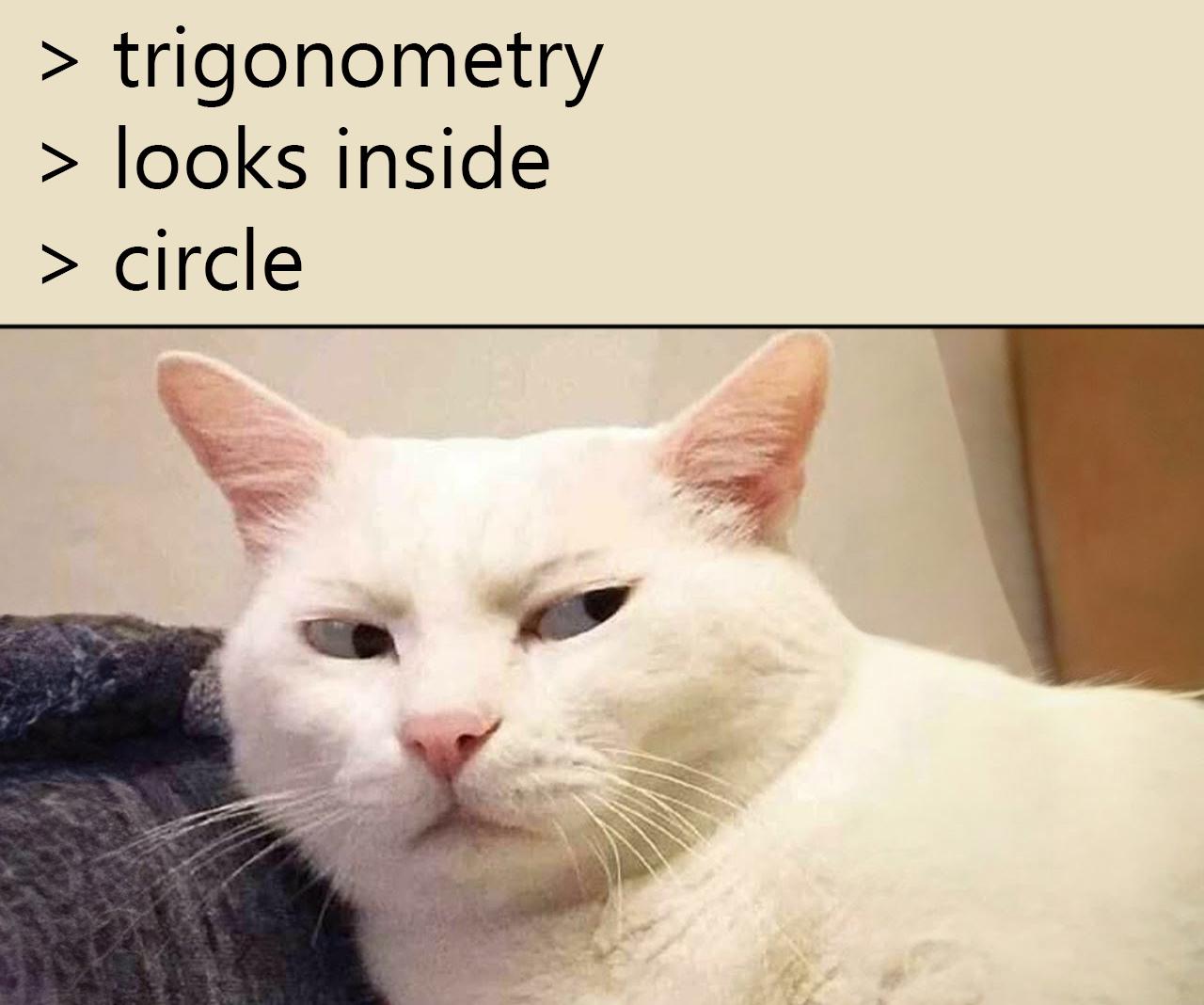The Circle's Secret Identity Crisis