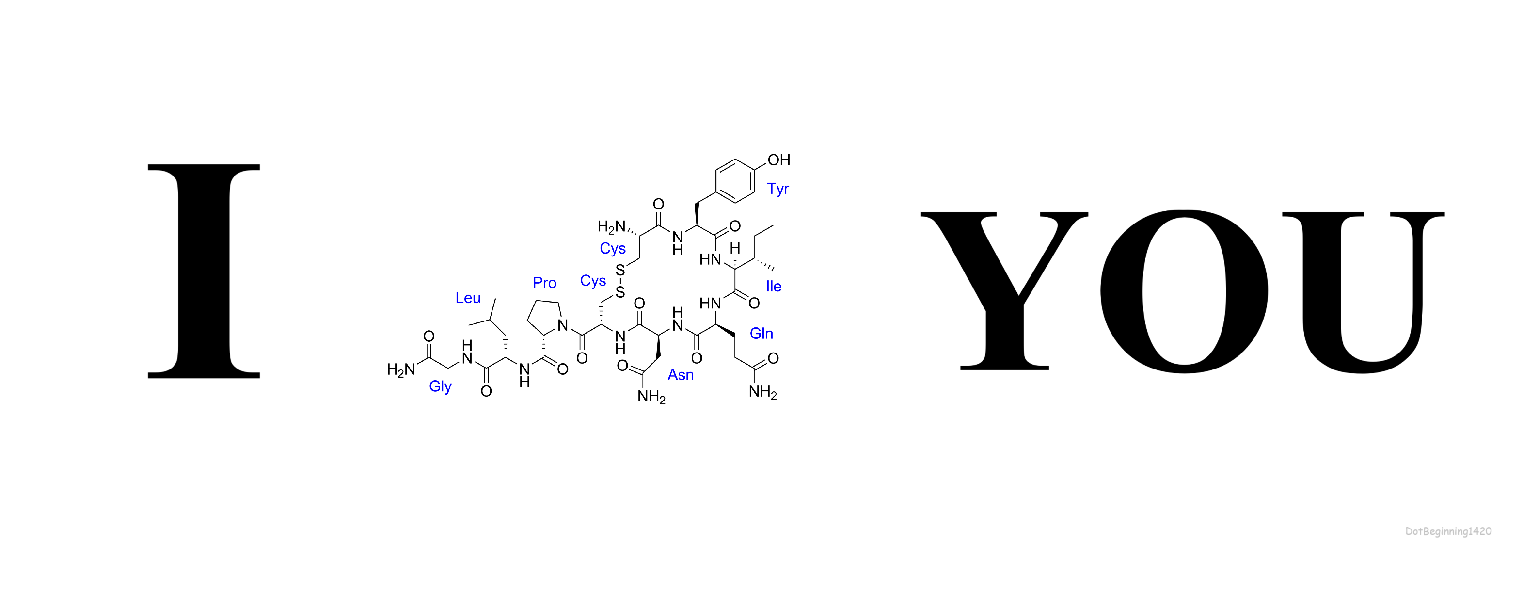 I Love You In Peptide Language