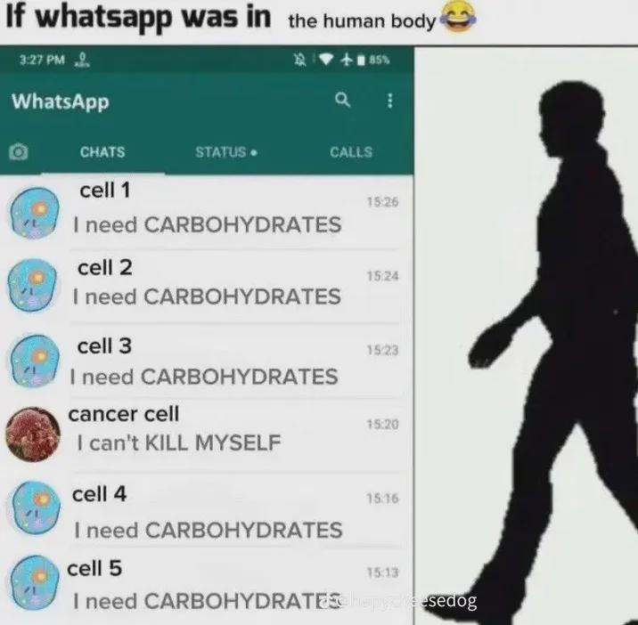 If WhatsApp Was In The Human Body