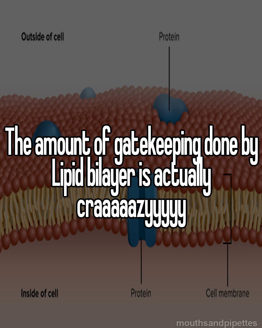 The Ultimate Biological Bouncer