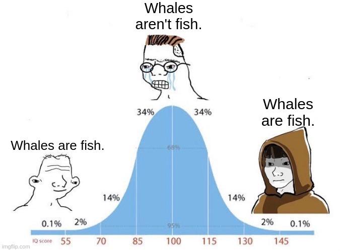 The Bell Curve Of Marine Biology Knowledge