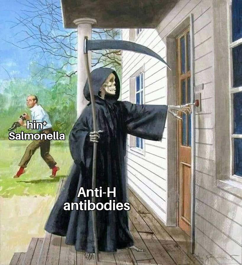 The Grim Reaper Of Your Immune System