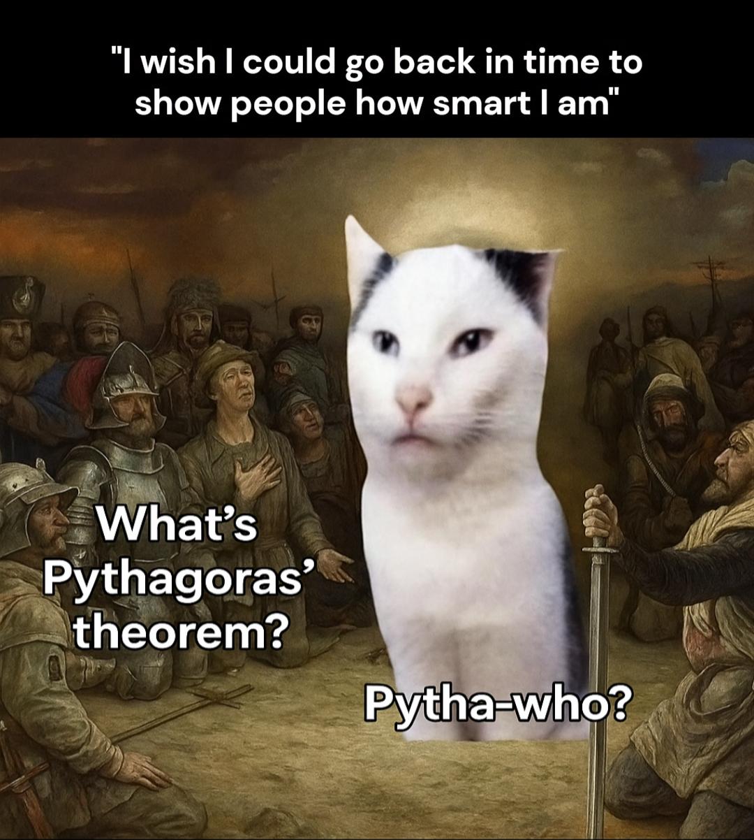 Time-Traveling Cat Fails Math History