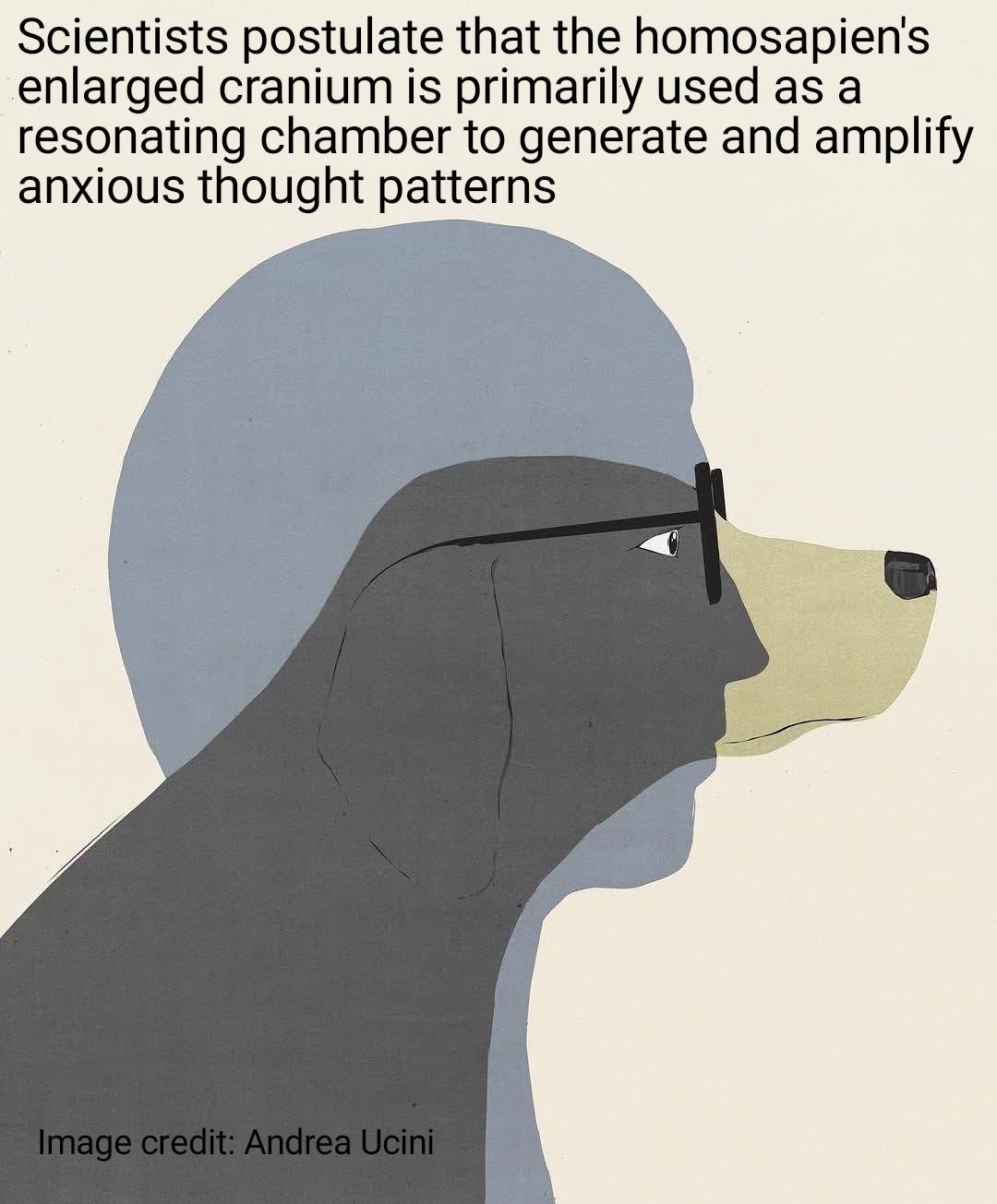 Dogs Probably Had The Right Idea When They Selected The Enlarged Olfactory System