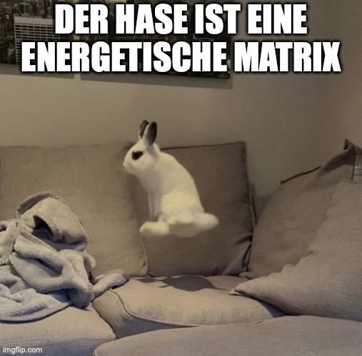 The Rabbit Is An Energetic Matrix