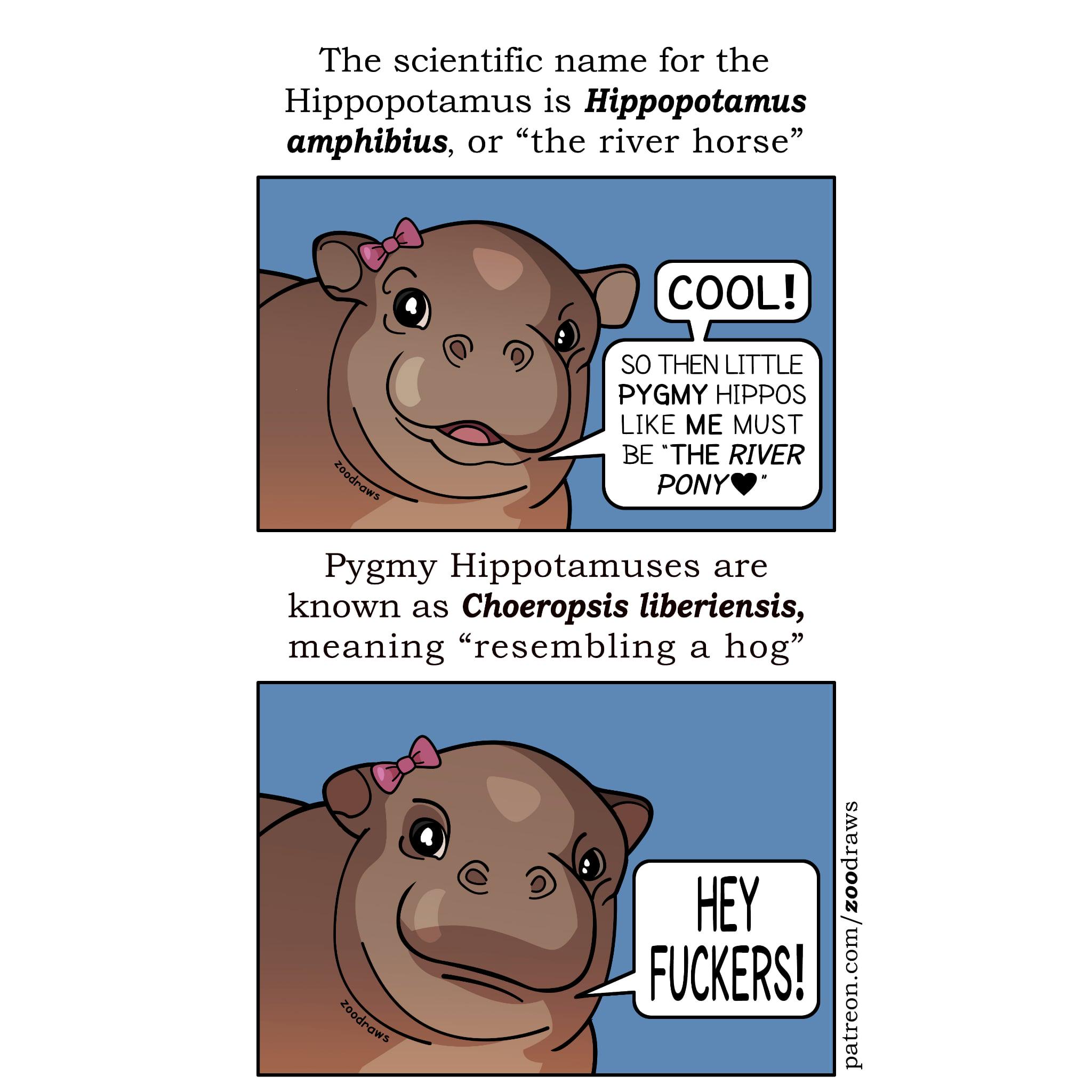 When Your Scientific Name Is A Taxonomic Insult