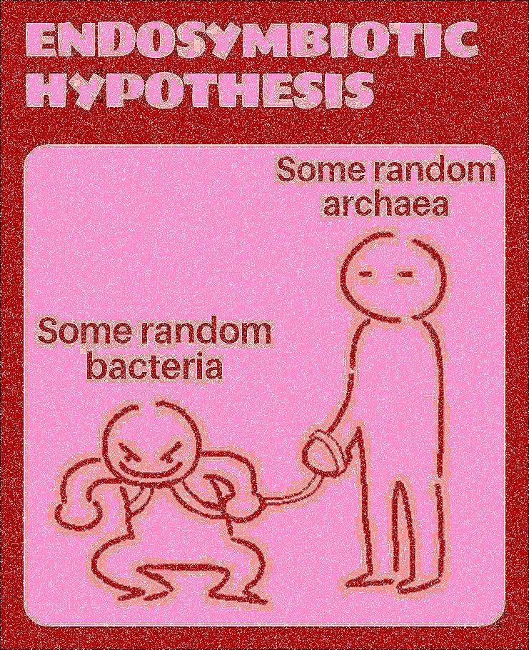 When Cells Said "It's Not Me, It's We"