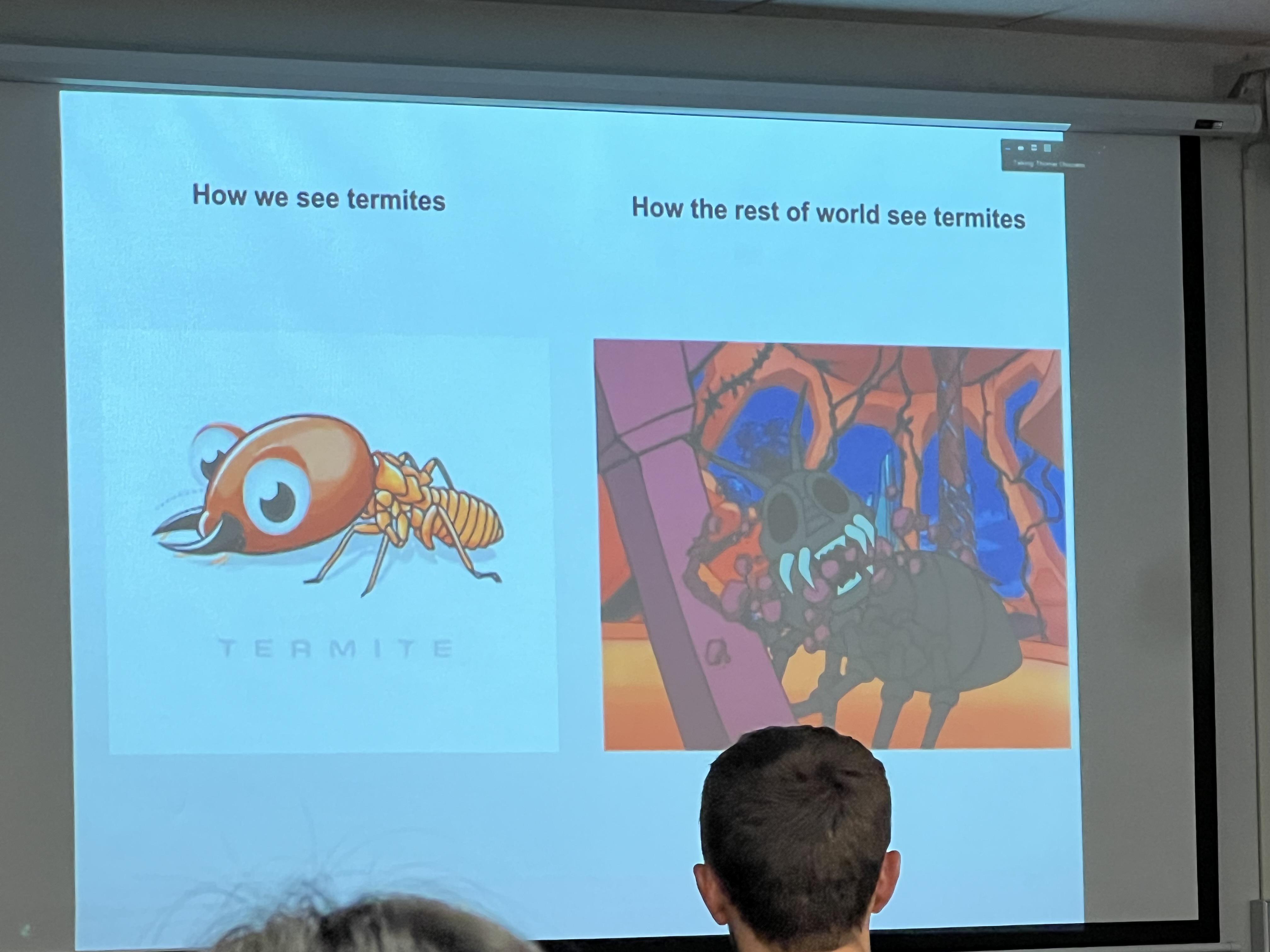 How We See Termites Vs How The World Sees Them