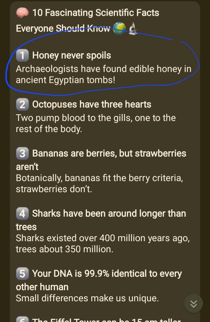 Honey Never Spoils Because... It Never Spoils