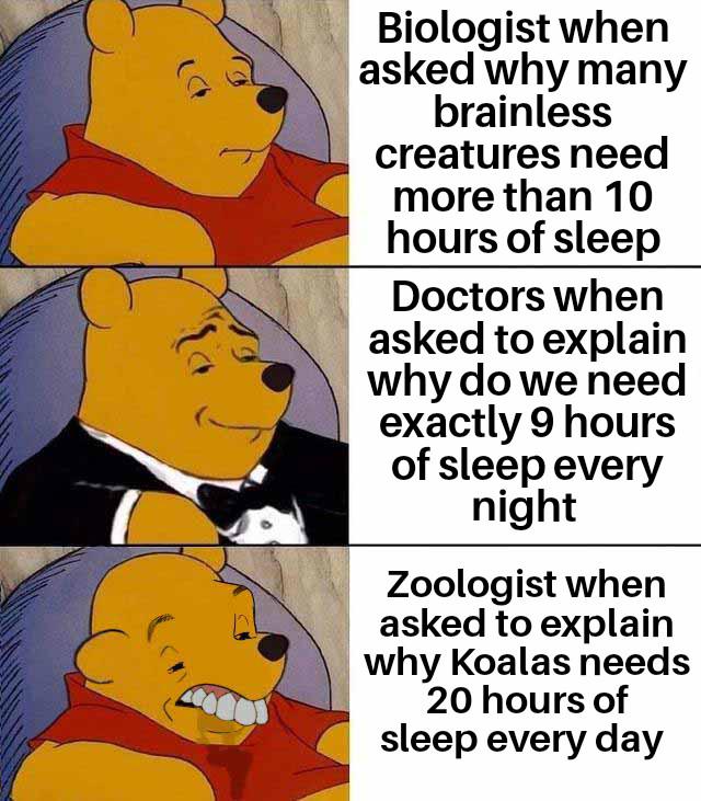 The Great Sleep Mystery Across Species