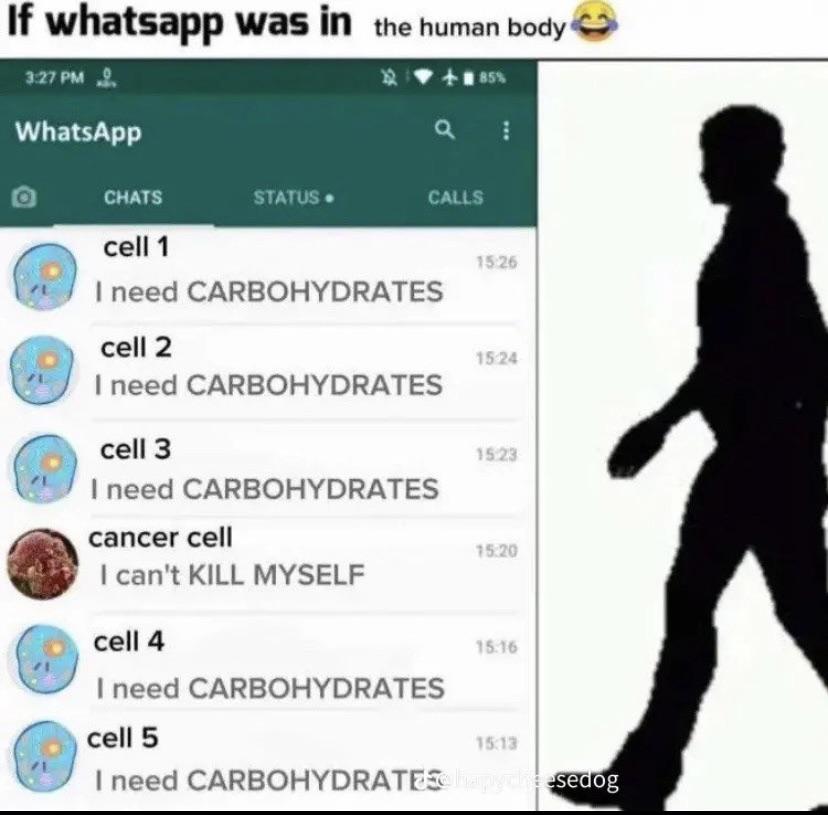 If WhatsApp Was In The Human Body