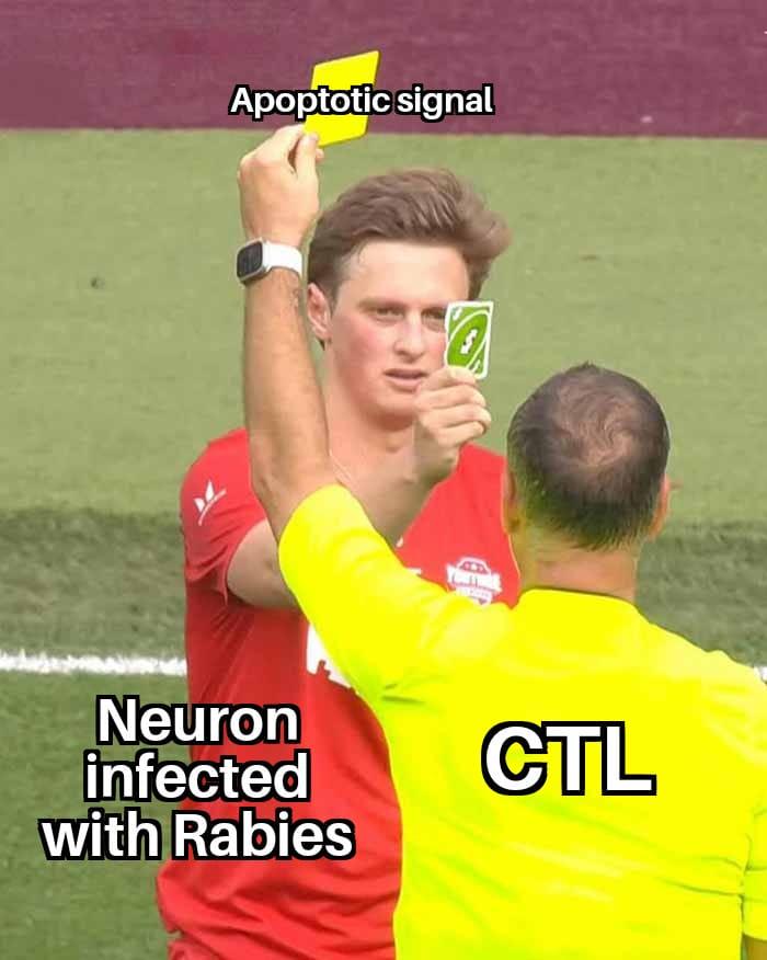 Your Cell Is Outta Here!