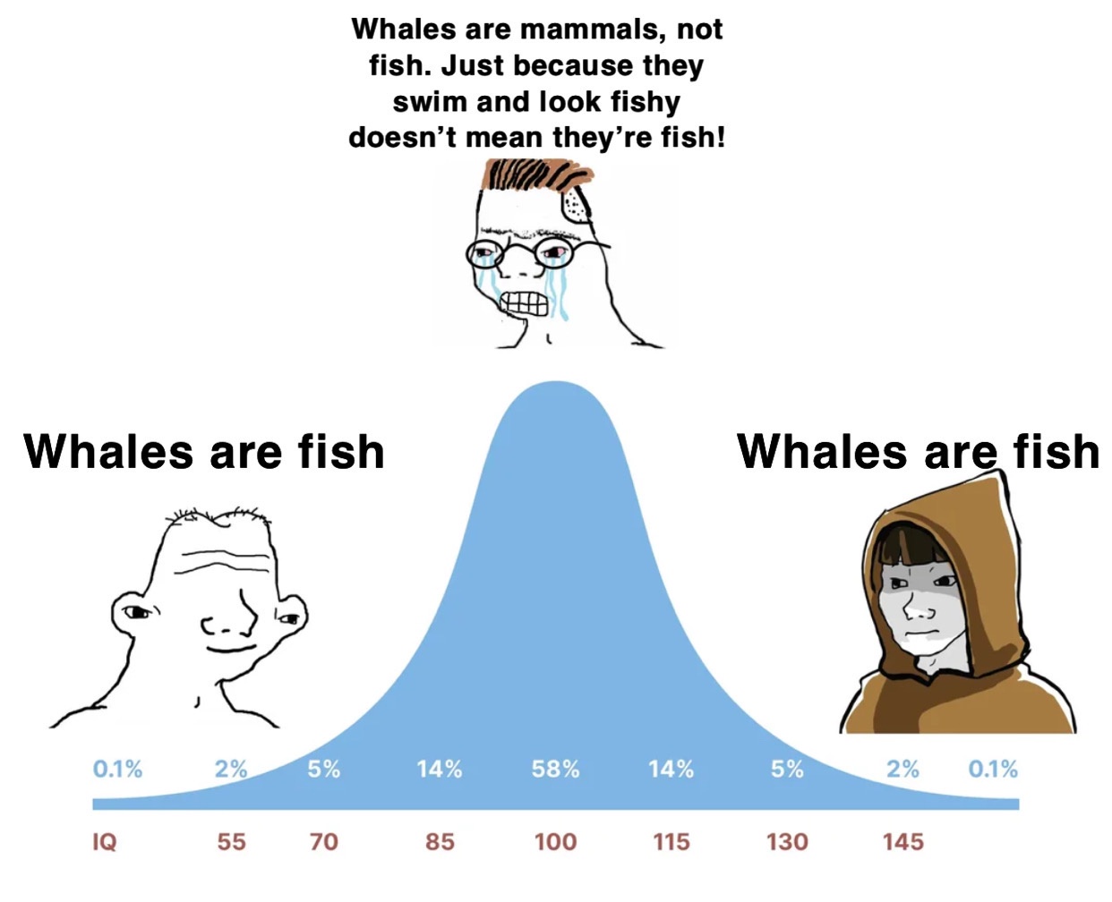 The Bell Curve Of Taxonomic Confusion