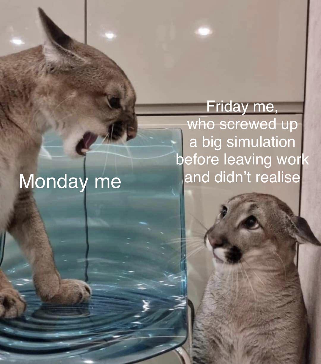 The Weekend Simulation Disaster