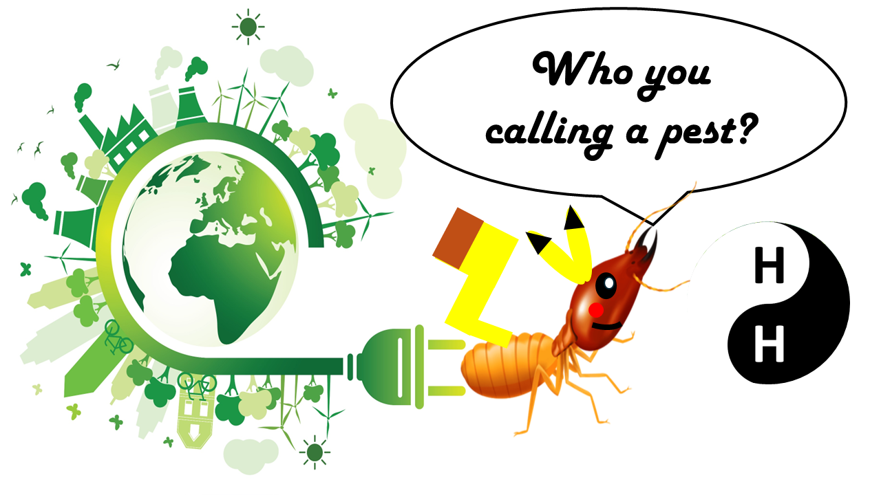 From Pest To Precious: The Hydrogen-Producing Termite