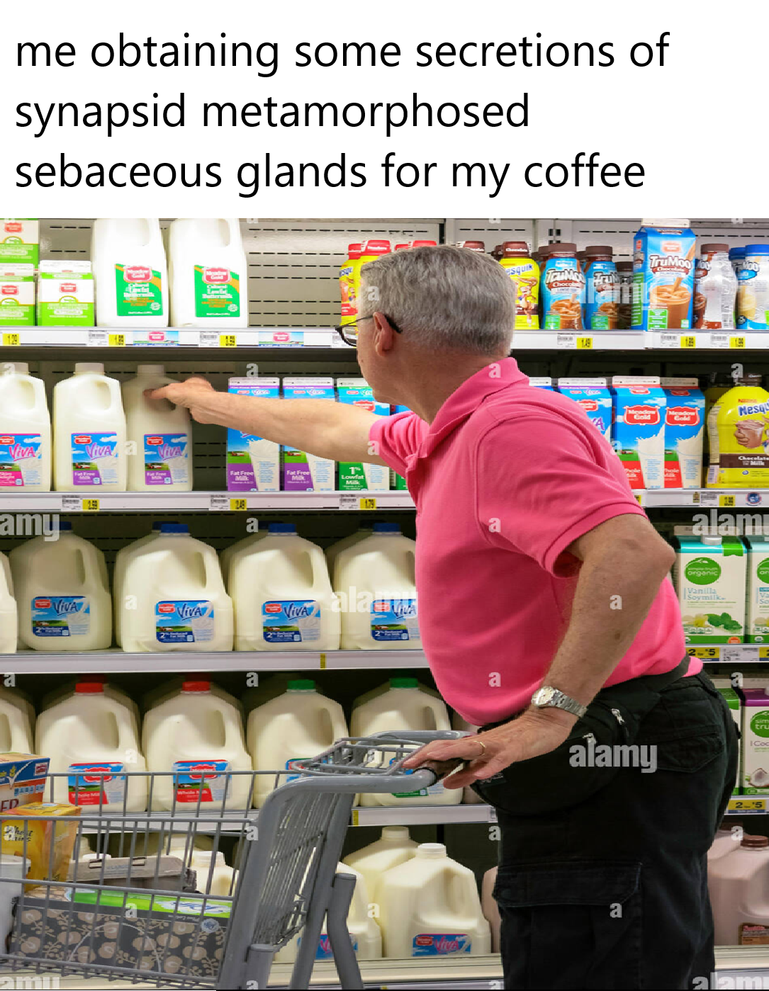 Scientific Grocery Shopping