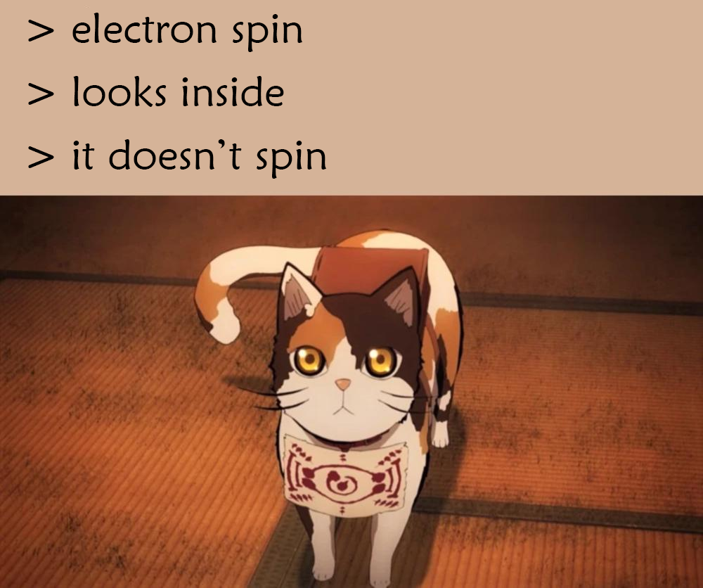 The Quantum Catception