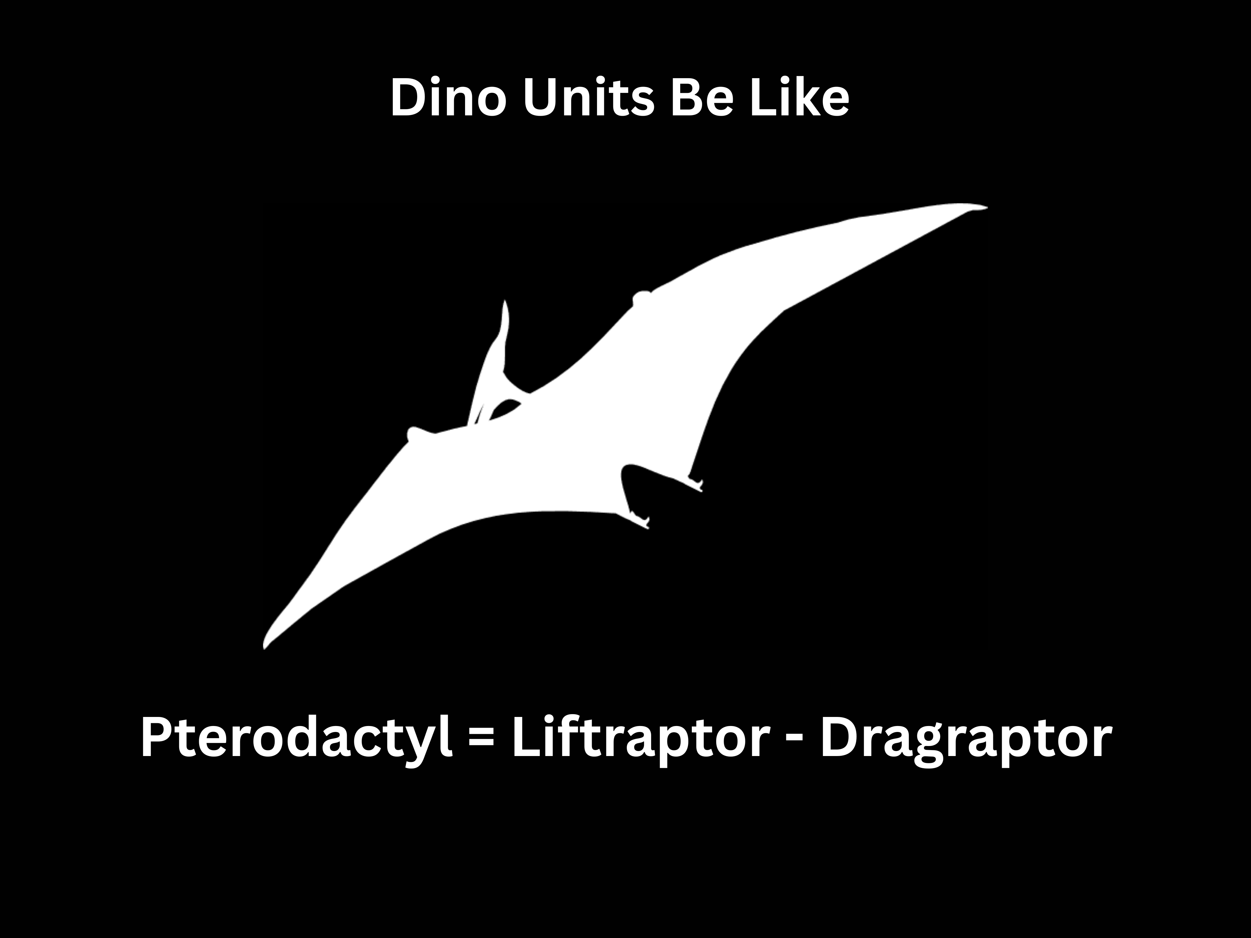 Ptero-Dynamics 101