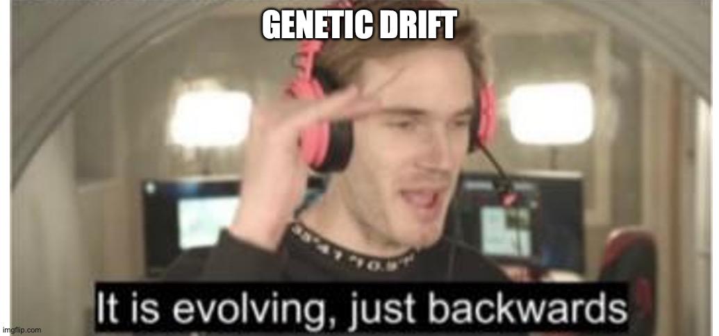 Genetic Drift: Evolution's Random DJ