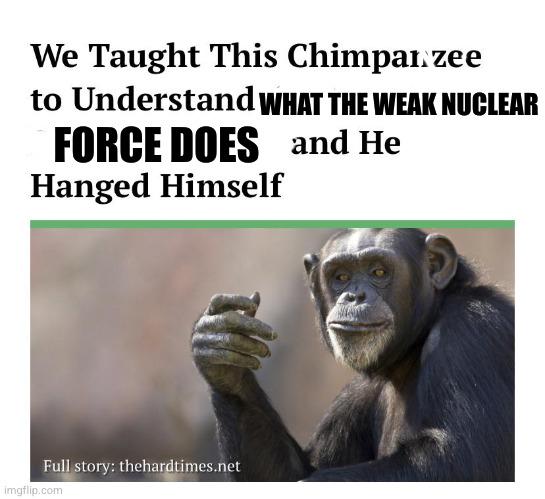 Weak Nuclear Force: The Existential Crisis Generator