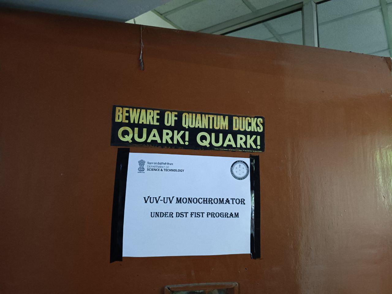 Beware Of Quantum Ducks: Quark! Quark!