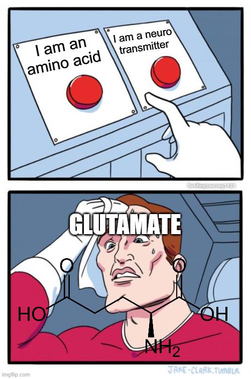Gluta-Mate, What Are You?