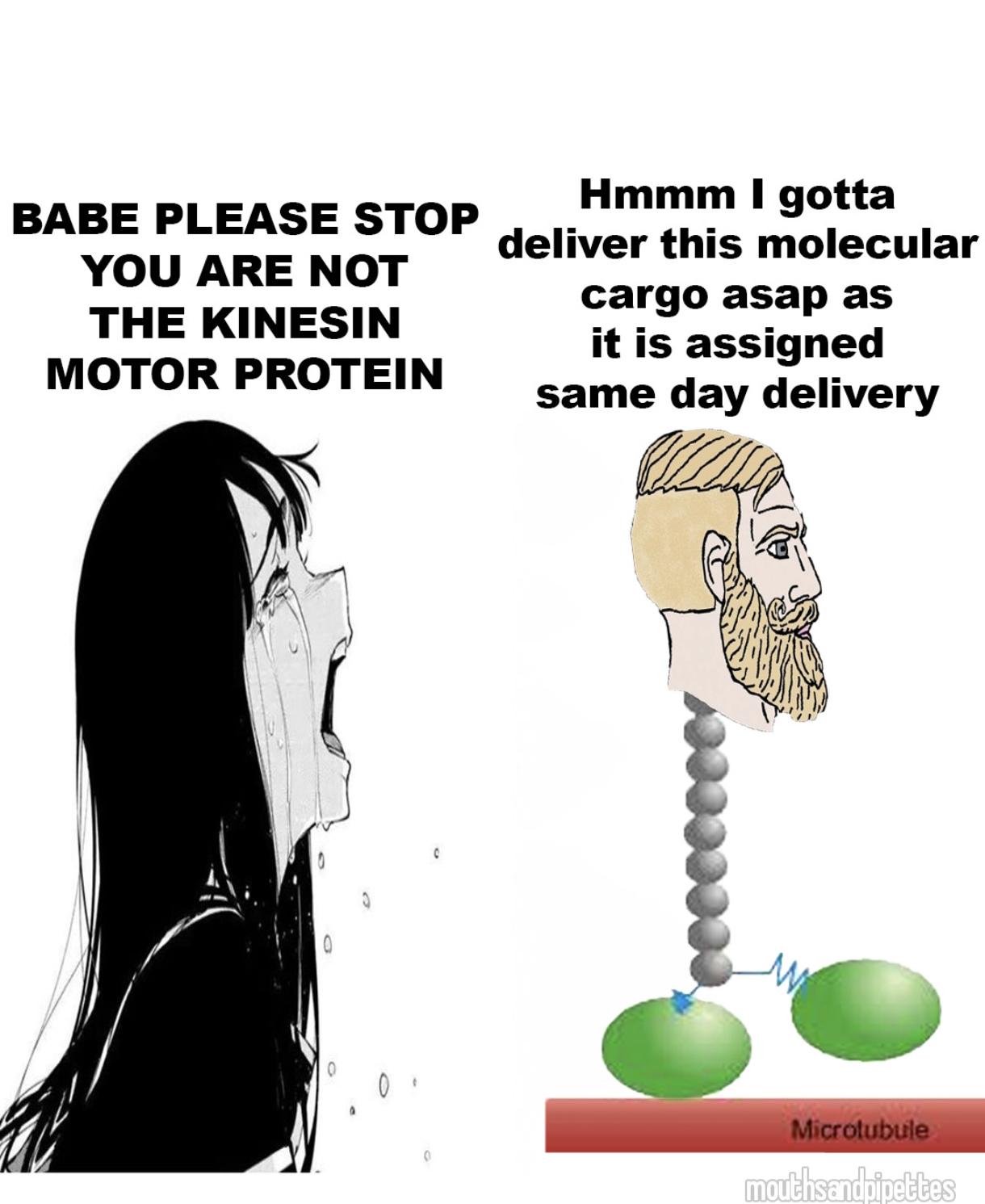 The Ultimate Cellular Delivery Service