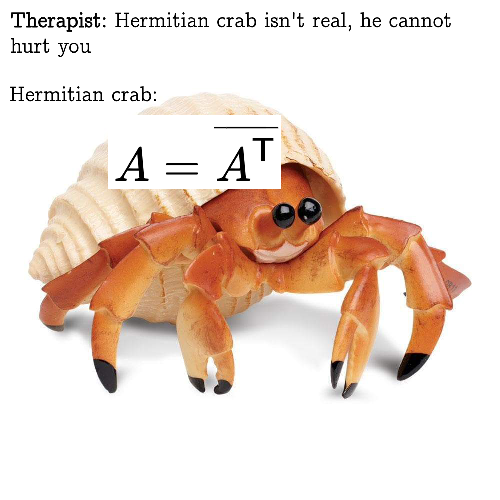 Linear Algebra Gives Me PTSD