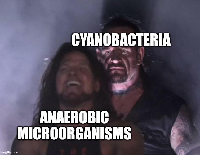 The Great Oxygen Massacre