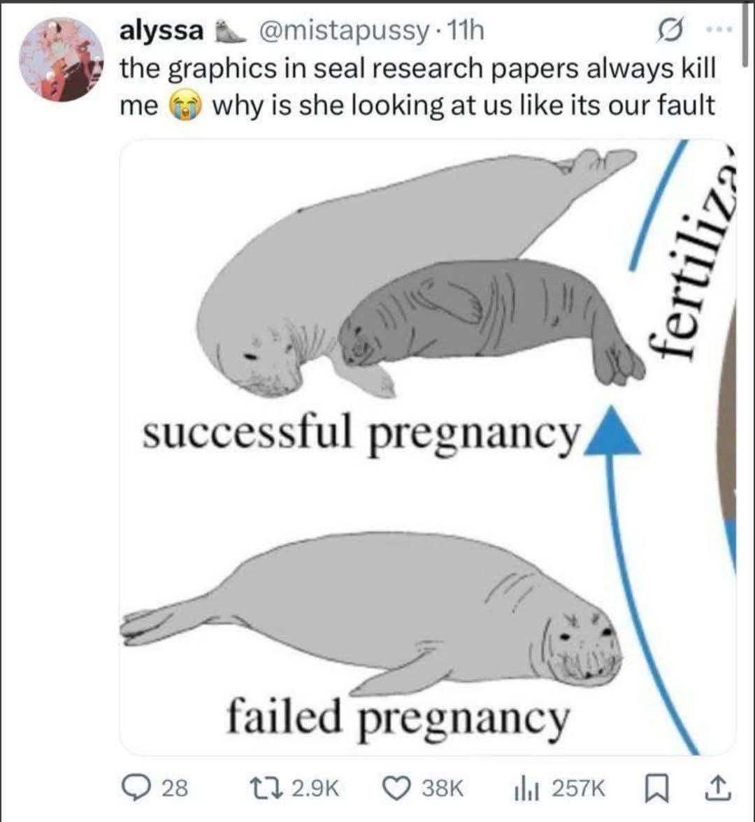 The Judgmental Seals Of Scientific Literature