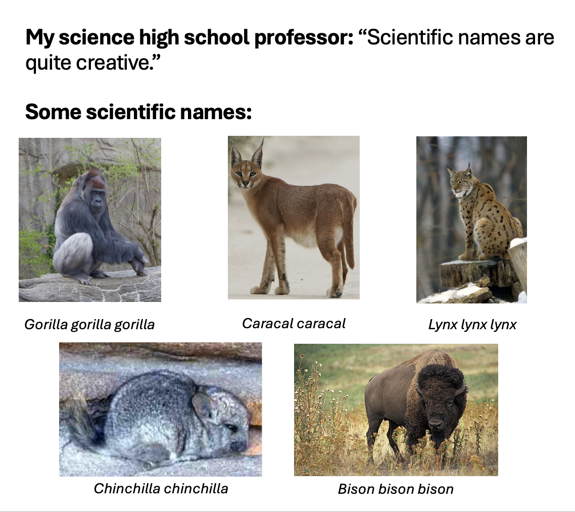 The Laziest Naming Convention In Science