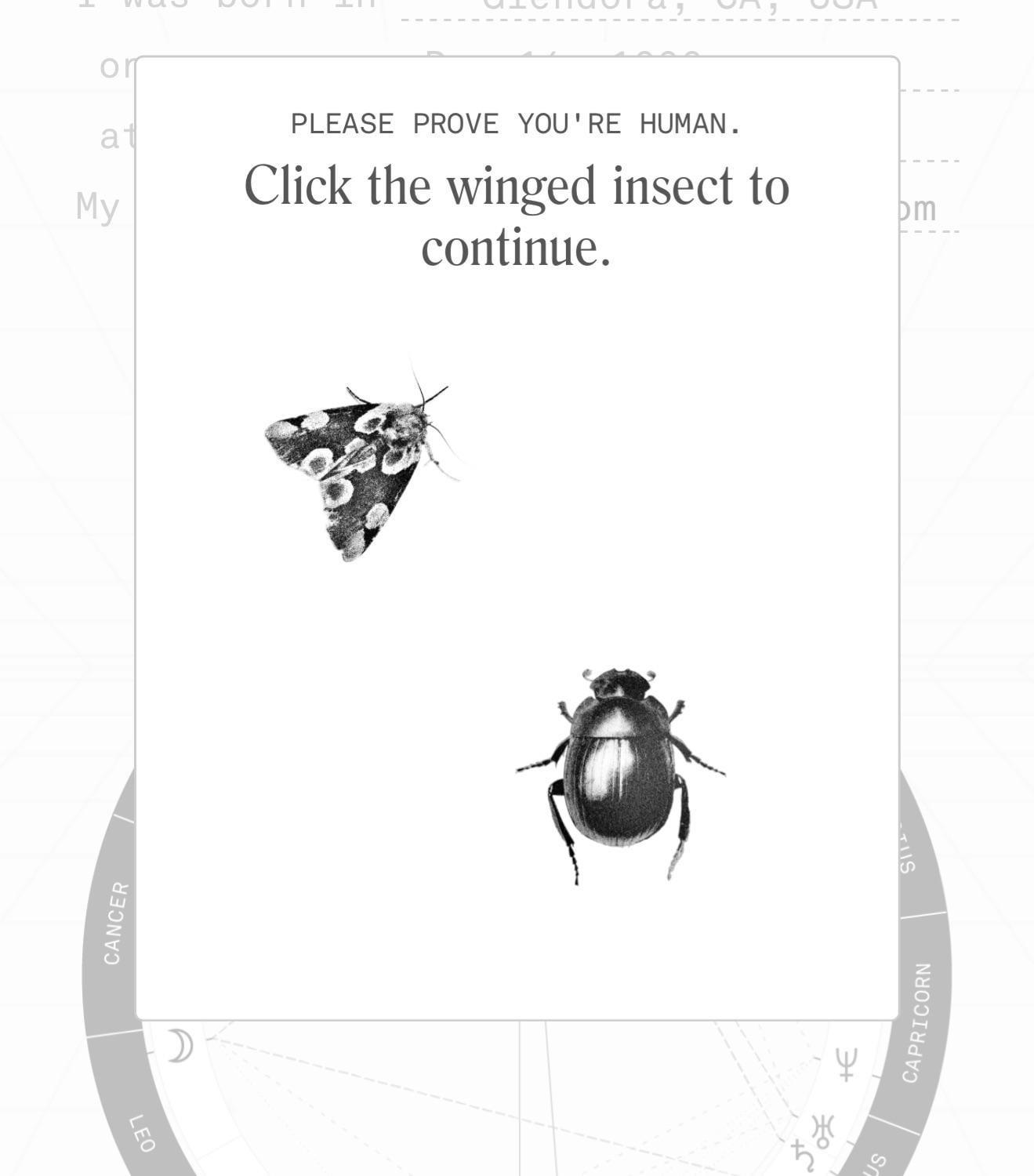 Both Of Them Have Wings