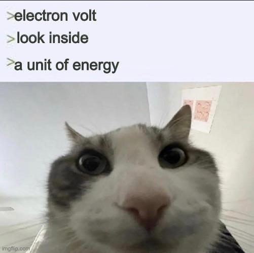 Electron Volt: Feline Physics Edition
