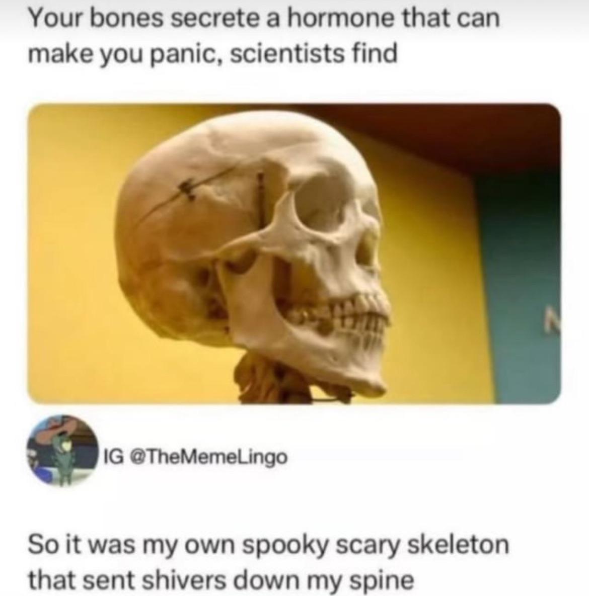 Your Skeleton's Secret Betrayal