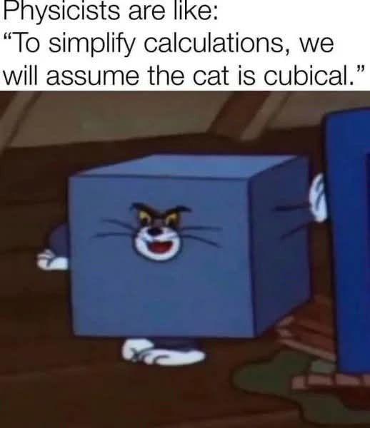 Physicists And Their Cubical Cats