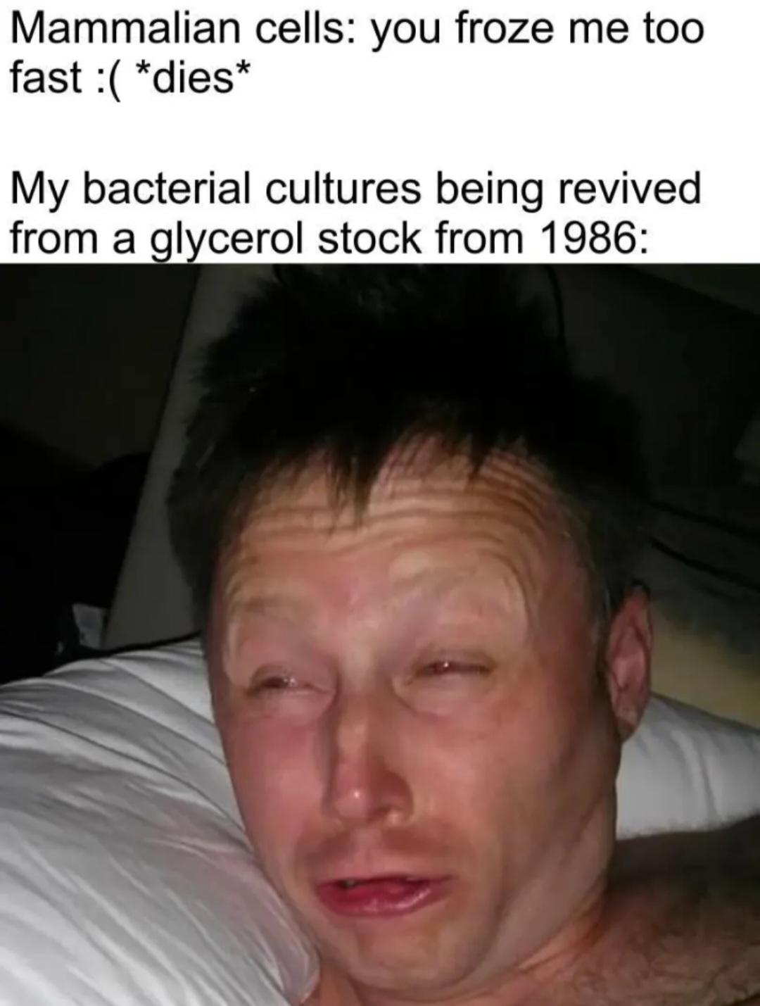 Meanwhile, Bacteria Be Like: Ice Age? Never Heard Of Her