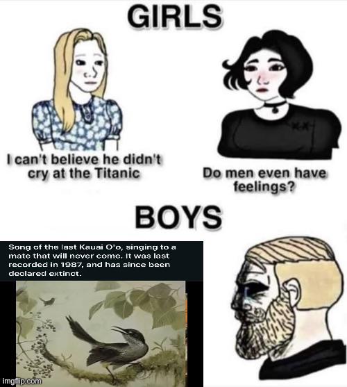 The Last Song That Broke Scientists' Hearts