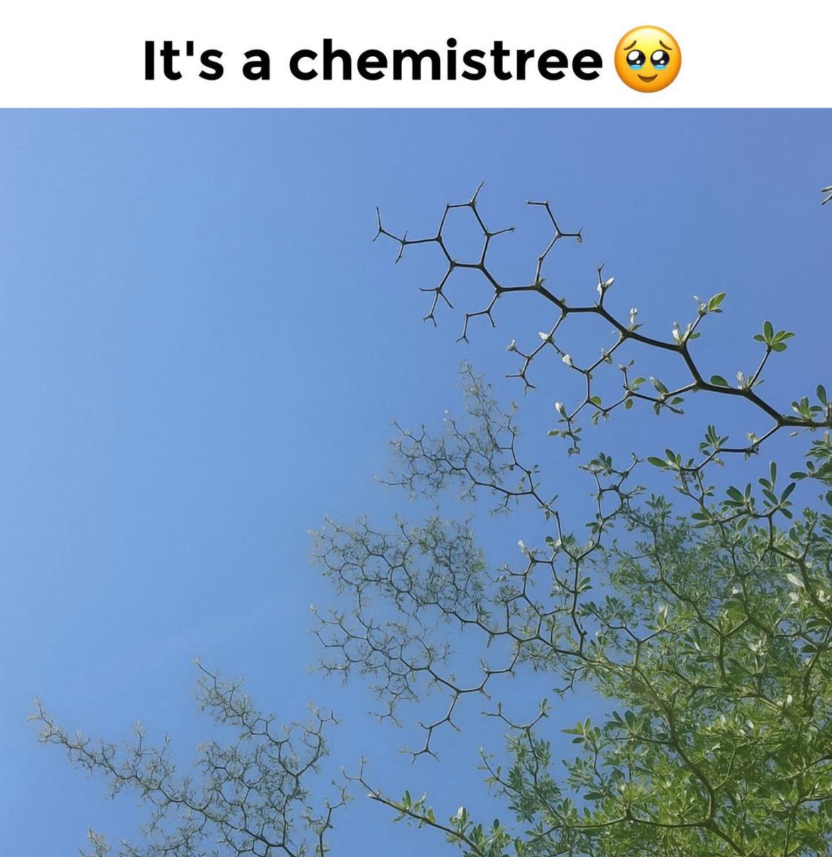 Chemistree