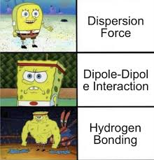 The Buff SpongeBob Guide To Intermolecular Forces
