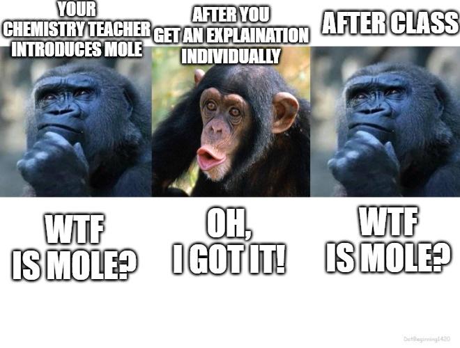 The First Time Being Introduced To Mole