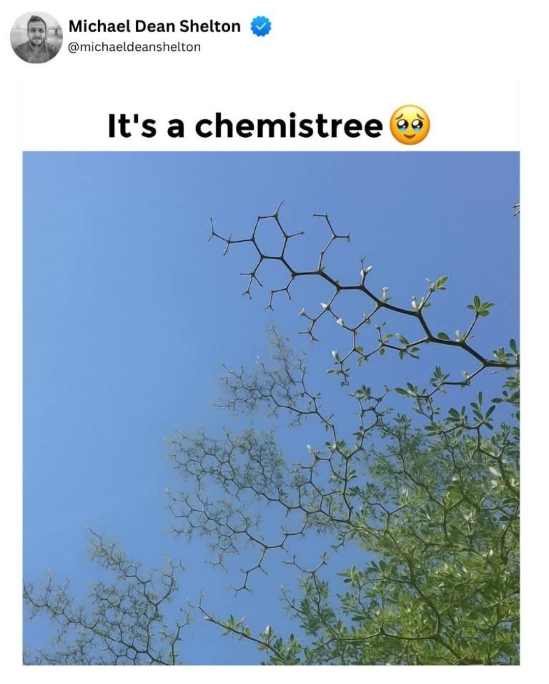 Chemistree 🌳🧪🍊